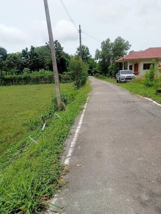 ที่ดิน อำเภอเมืองนครนายก 4