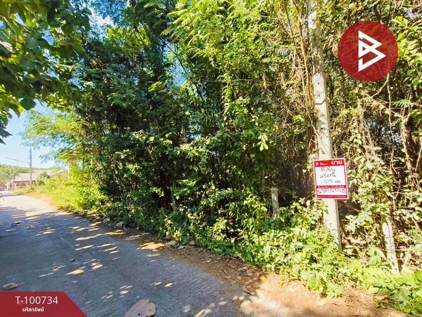 ขายที่ดินเป่าลมแล้วเนื้อที่ 105.0 ตารางวา ตำบลแกใหญ่ เมืองสุรินทร์ 6