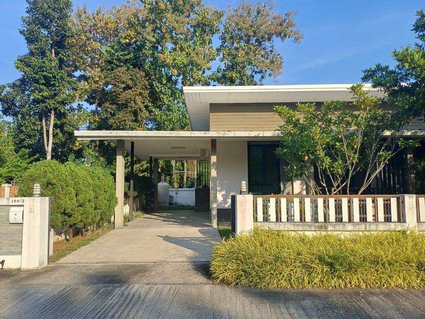 🏡 บ้านเดี่ยวชั้นเดียว พื้นที่กว้าง 85 ตร.ว.! ใกล้ รพ.นครพิงค์ & แม็คโครแม่ริม Spacious Single-Storey House for Rent - 85 sq.wah, Near Nakonping Hospi 1