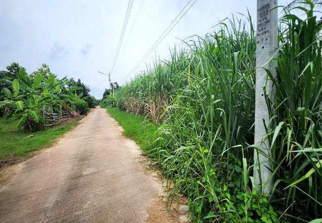 ขายที่ดิน บ่อทอง เทศบาลตำบลธาตุทอง 5 ถนนบ่อทอง ตำบลธาตุทอง อำเภอบ่อทอง ชลบุรี 3
