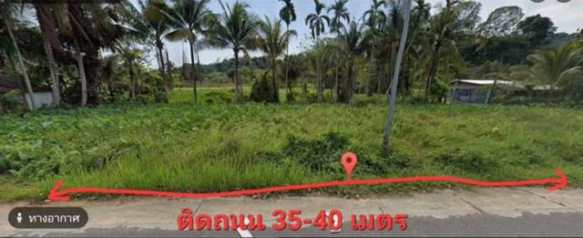ที่ดินนครนายกแปลงสวย ภูเขาล้อมอากาศบริสุทธิ์ 9