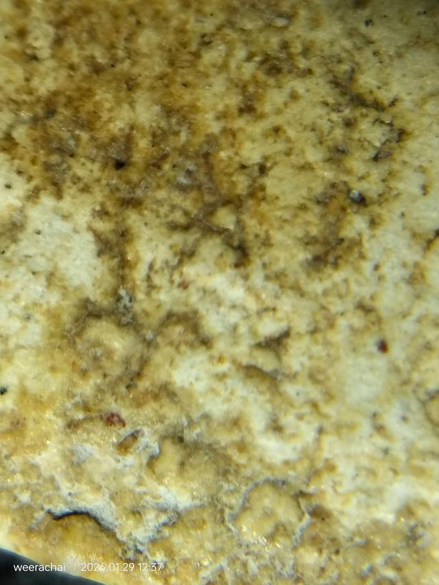 พระสมเด็จวัดระฆังพิมพ์เกศบัวตูม รูปที่ 11