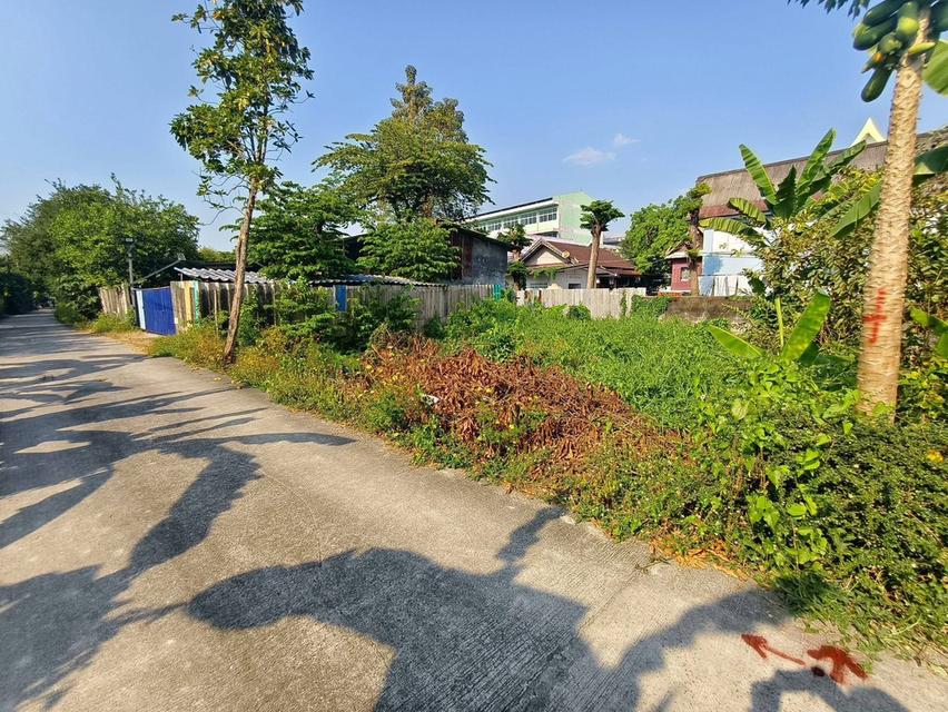 ขายถูกที่ดินใกล้วัดบัว 50 ตรว ซอยสำเร็จพัฒนา 17 ปลายบาง บางกรวย นนทบุรี 2