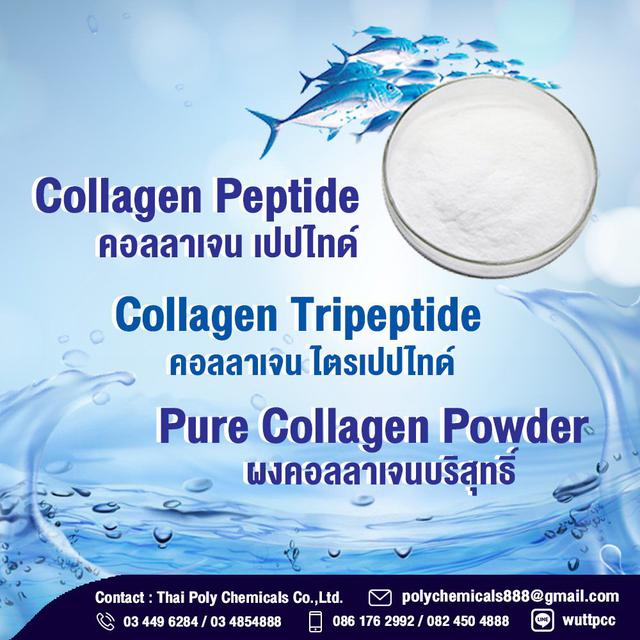 Collagen, Collagen Powder, Collagen Peptide, Collagen Tripep 3