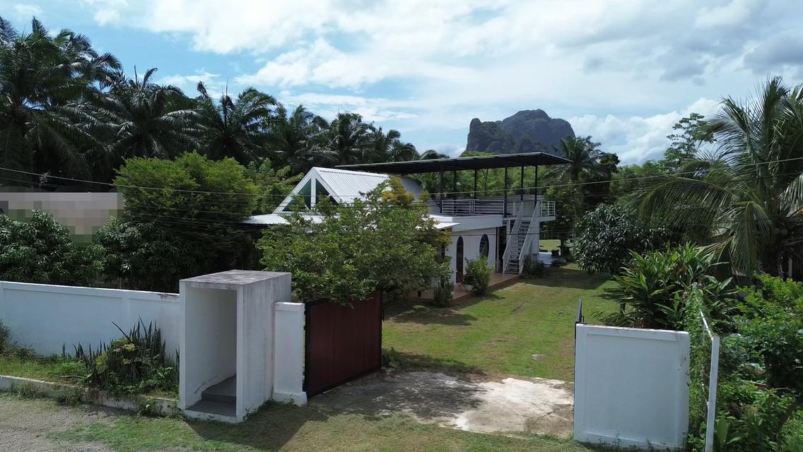 ที่ดินพร้อมอาคารสำเร็จ 1