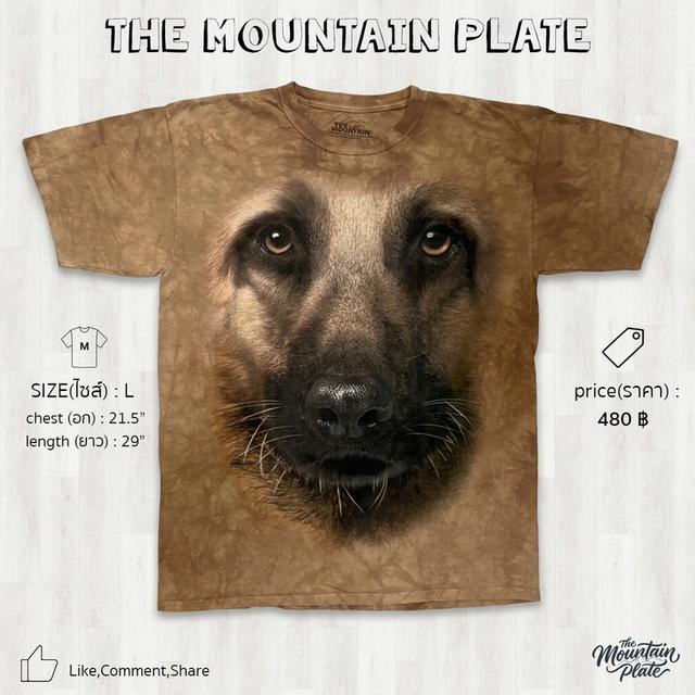เสื้อยืด The Mountain