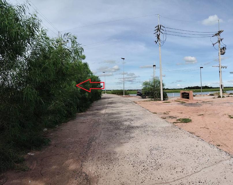 ที่ดินเปล่าจังหวัดมหาสารคาม ใกล้เทศบาลบรบือ 4