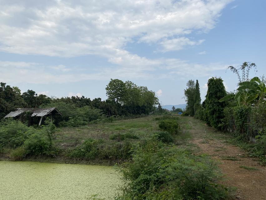 ที่ดินดอยสะเก็ดเชียงใหม่ 5ไร่ 5