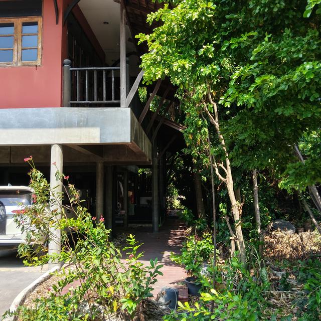 บ้านทรงไทยพร้อมที่ดิน 5