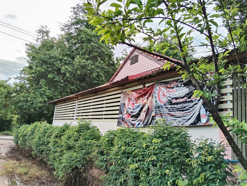 บ้านพร้อมที่ดิน 5