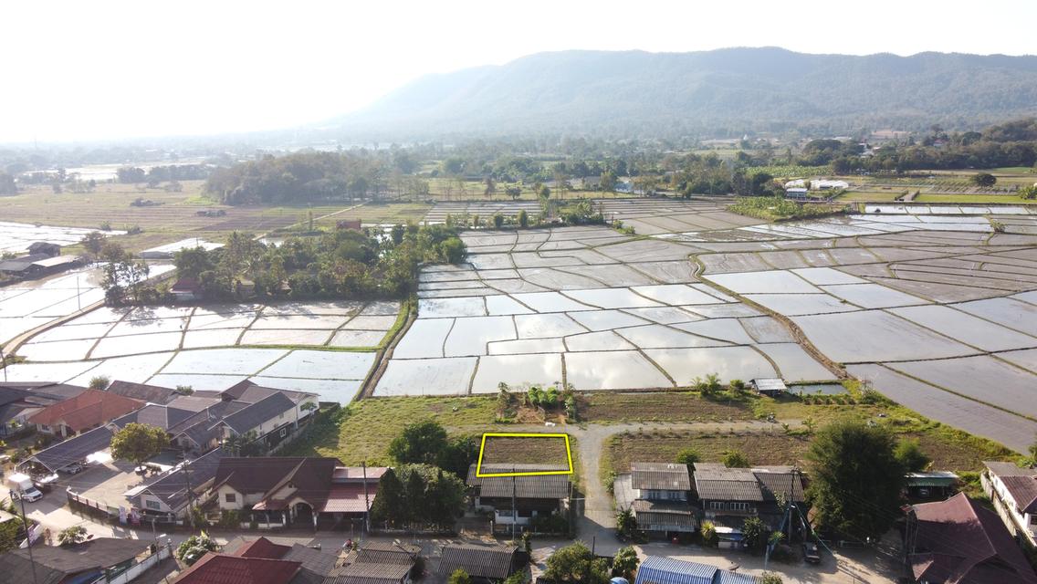 ขายที่ดิน 55 ตร.ว. วิวดอยสวย น้ำไฟดึงได้ไม่ไกล อ.แม่ออน 6