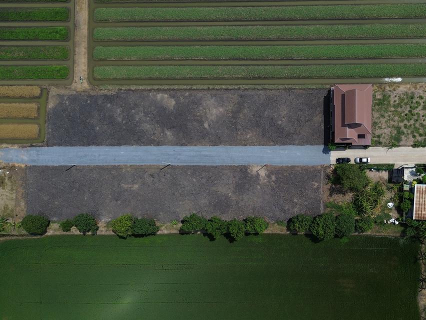 ที่ดินแบ่งขาย ทำเลทอง ทวีวัฒนา-ไทรน้อย นนทบุรี เนื้อที่แปลงละ 100 ตารางวา 3