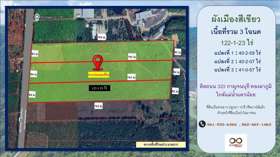 ขายที่ดินพร้อมสวนยาง ราคาดี 2