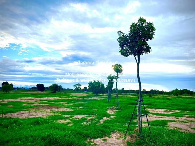 พื้นที่ดิน ขายที่ดินจัดสรรแปลงใหญ่ พร้อมทะเลสาบ (ติดถนนหลัก และติดถนนรอง) อู่ทอง จ.สุพรรณบุรี 60-3-0 ไร่ ราคา 23 ล้าน ไม 2