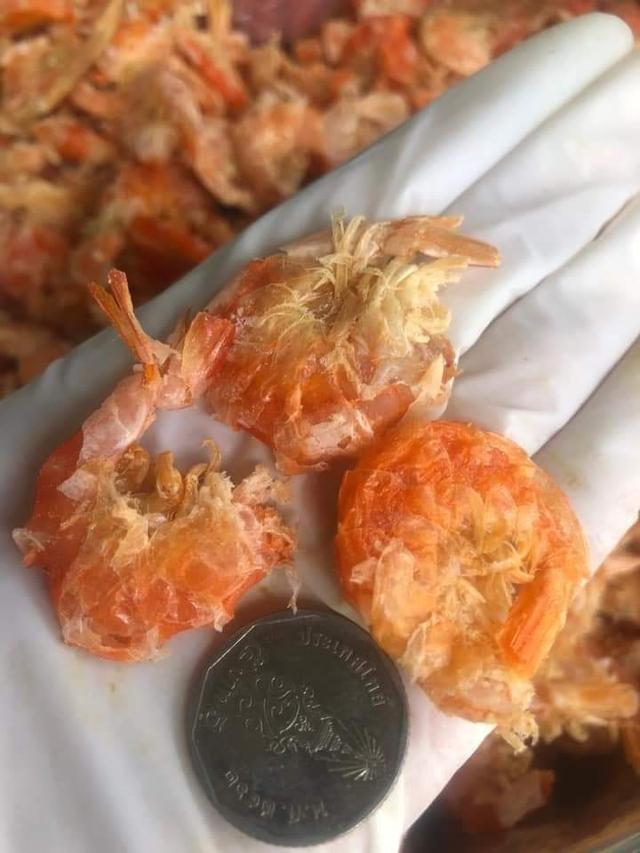 กุ้งแห้งตัวใหญ่ 3