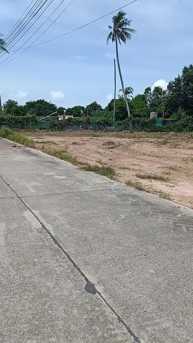 ที่ดินเเปลงสวยเขามะกอก13 พัทยา 7