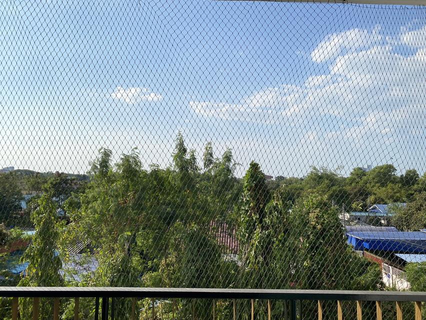 ให้เช่า เดอะ กรีน ลีฟวิ่ง คอนโด 10,000 บาท 8