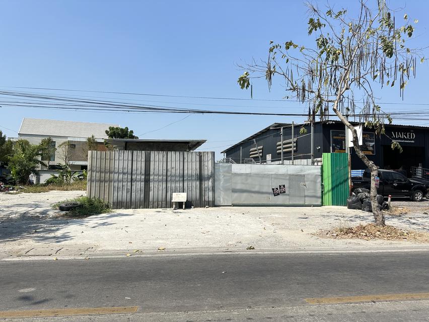 ที่ดินรามอินทรา117 ติดถนน เจริญพัฒนา 1