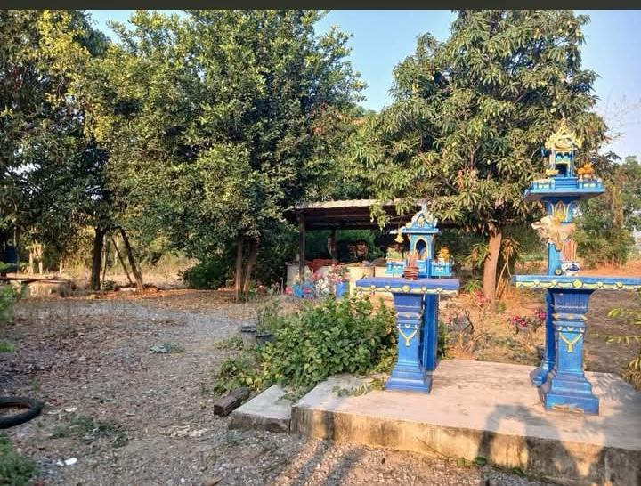 ขายถูกที่สุดบ้านสวนมี3หลังพร้อมที่ดิน295.5ตรว.โฉนดครุฑแดง ราคาถูกที่สุด1.35ล้าน โฉนดครุฑเเดง มีต้นไม้ผล 10