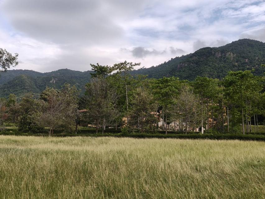 ขายที่ดินเขาใหญ่ ที่ดินในโครงการทอสคานา Toscana ราคาดีมาก โซนใกล้อุทยานแห่งชาติเขาใหญ่ วิวเขาสวย บ้านพักตากอากาศ หมูสี โป่งตาลอง ปากช่อง 087-9074045 2