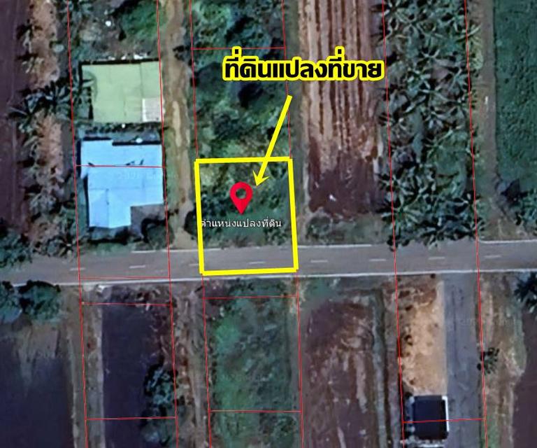 ขายที่ดินองครักษ์ นครนายก คลอง22 ใกล้วัดราษฎร์ศรัทธาราม 5