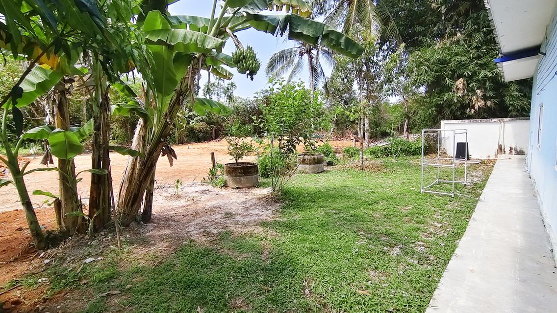 Koh Chang lovely 3bd 2ba House for sale รูปที่ 19