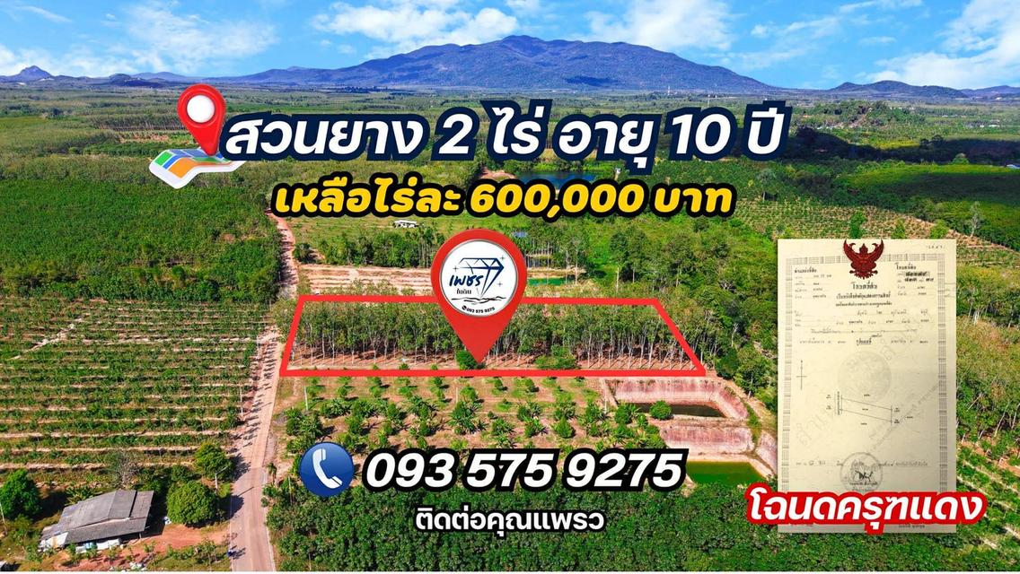 ที่ดิน สวนยางพารา ทำเลดี วิวภูเขา อ.แกลง จ.ระยอง 1