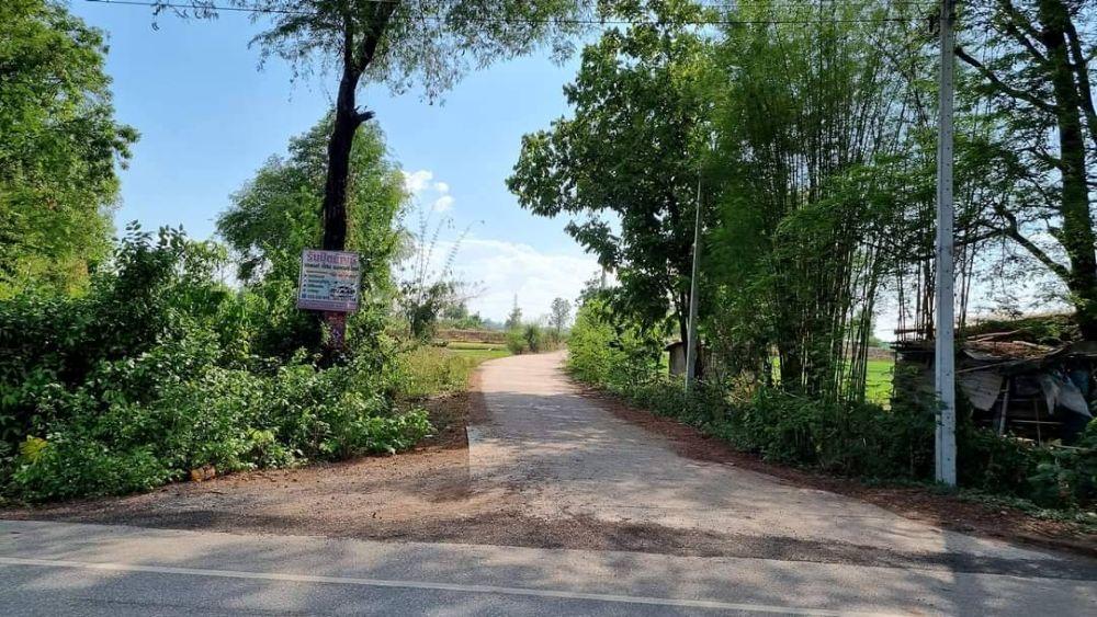 ขายที่ดินเปล่า ทำเลดี เดินทางสะดวก น้ำไฟเข้าถึง ต.วังทอง อ.วังทอง จ.พิษณุโลก 5
