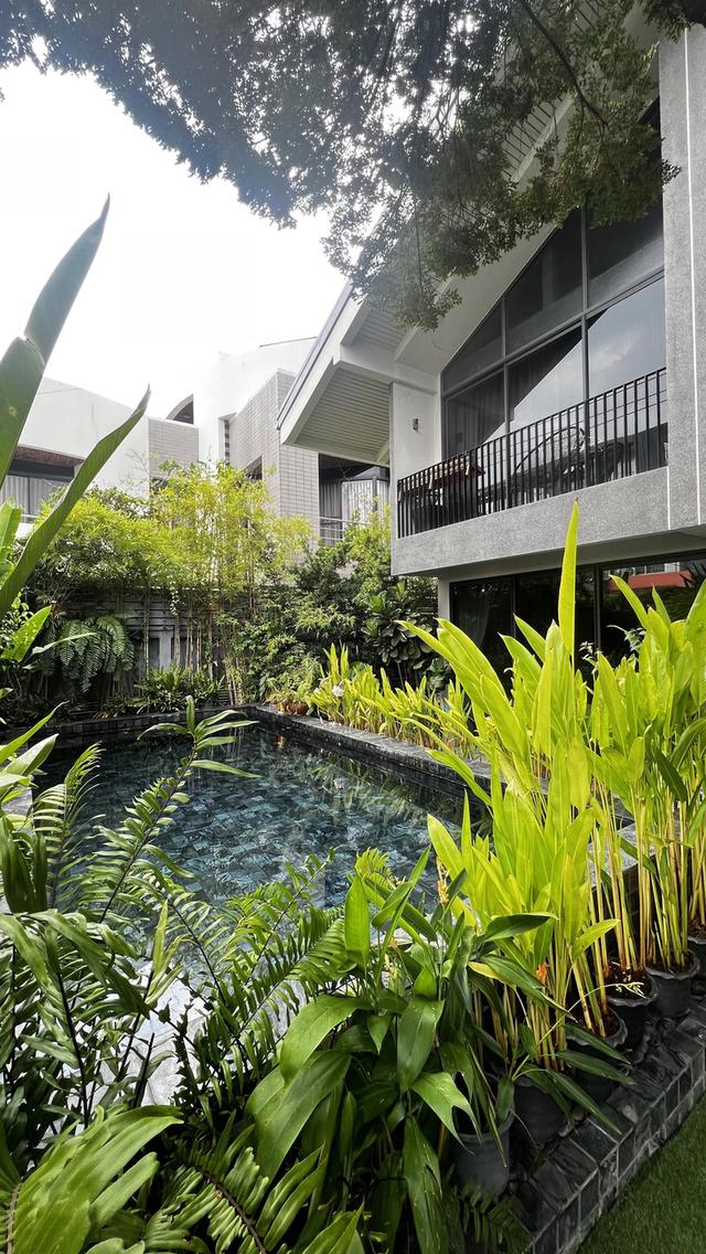 ขายด่วน! บ้านเดี่ยวไซส์ใหญ่ 86 ตร.ว. (พื้นที่ใช้สอย 250 ตร.ม.) พร้อมสระว่ายน้ำส่วนตัว ทำเลทอง ซอยปรีดี พนมยงศ์ 15 แยก 2 1