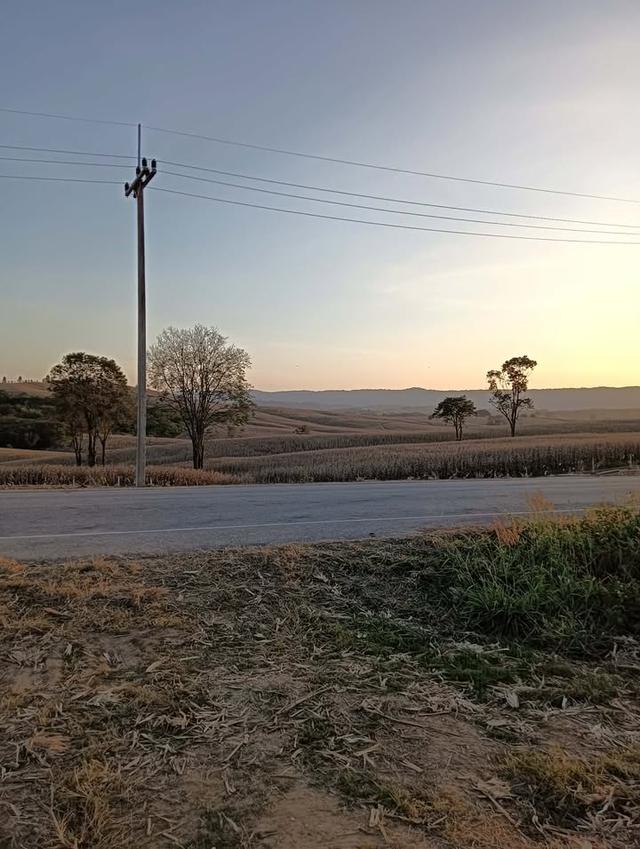 ที่ดินเปล่า ล้อมรั้วเรียบร้อย ถนน 3139 วังน้ำเขียว 12