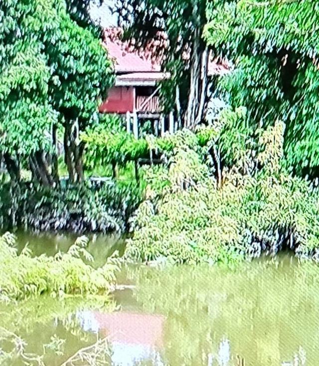 ที่ดินติดแม่น้ำลพบุรี ถมสูง ตั้งแต่ปี 2553  พื้นที่ 296 ตรว. 4