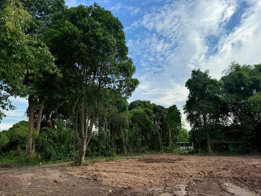 โอกาสพิเศษ ที่ดินริมน้ำนครนายก เกือบ 2 ไร่ ปรับราคาลงเหลือ 4.5 ล้านบาท 13