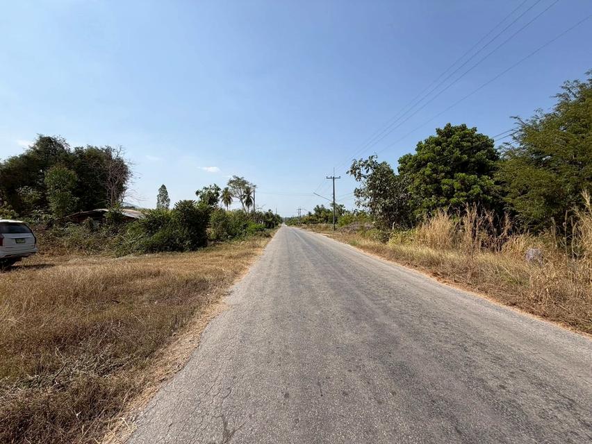 ที่ดินโฉนดครุฑแดง 44-0-79 ไร่ อ.บ้านไร่ จ.อุทัยธานี ติดถนนลาดยาง ที่ดินสูงเท่าถนนไม่ต้องถม ซอย7 ห่างถนนหลัก333 (ถนน4เลน) เพียง 2 ก.ม. ปากทาง มี 7-11 , 16