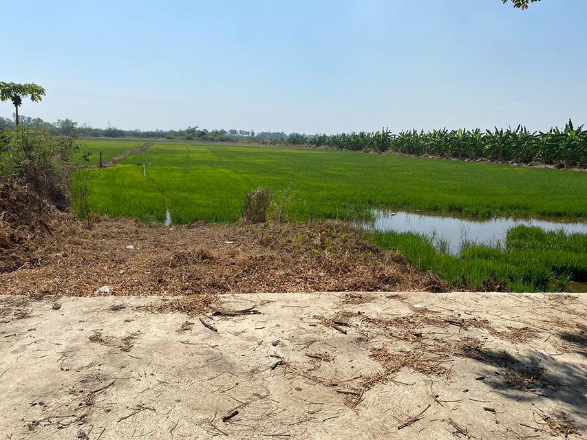 รูป ขายที่ดินใกล้ทะเลหาดเพชร อำเภอท่ายาง เพชรบุรี สนใจโทร 083-6069440