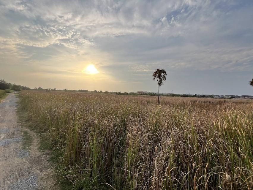 ที่ดินทำเลศักยภาพ บริเวณด้านหลัง เซ็นทรัล นครปฐม อำเภอเมืองนครปฐม ตำบลนครปฐม จังหวัดนครปฐม 73000 10