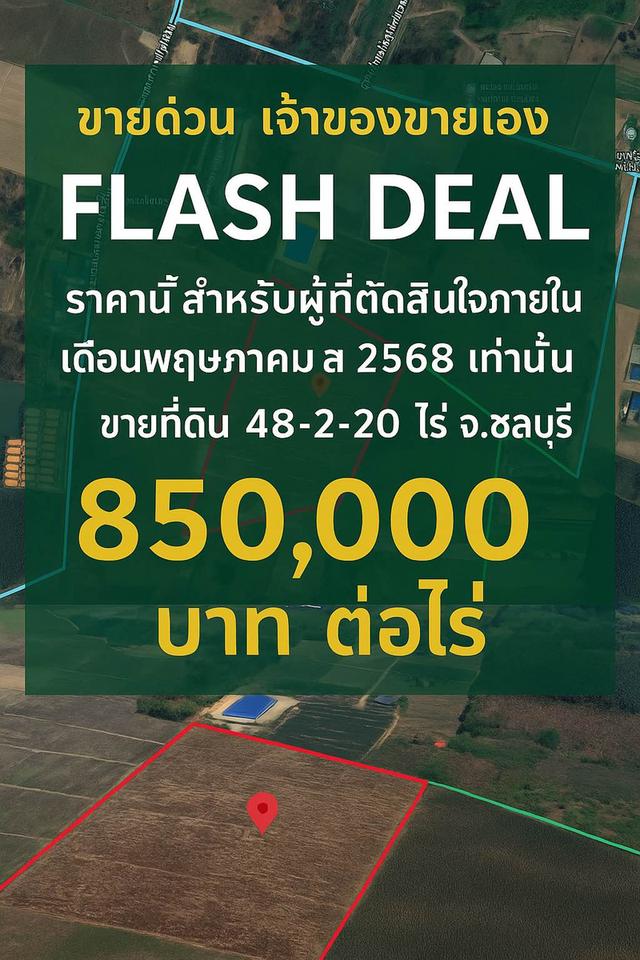 FLASH DEAL ขายที่ดินแปลงใหญ่ 48 ไร่ 2 งาน 20 ตร.วา – บ่อทอง ชลบุรี 1