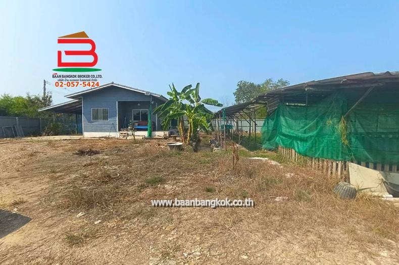 ที่ดินพร้อมสิ่งปลูกสร้าง เนื้อที่ 1 ไร่ ถนนเทศบาล 6/1 ตำบลบึงบา อำเภอหนองเสือ ปทุมธานี 3