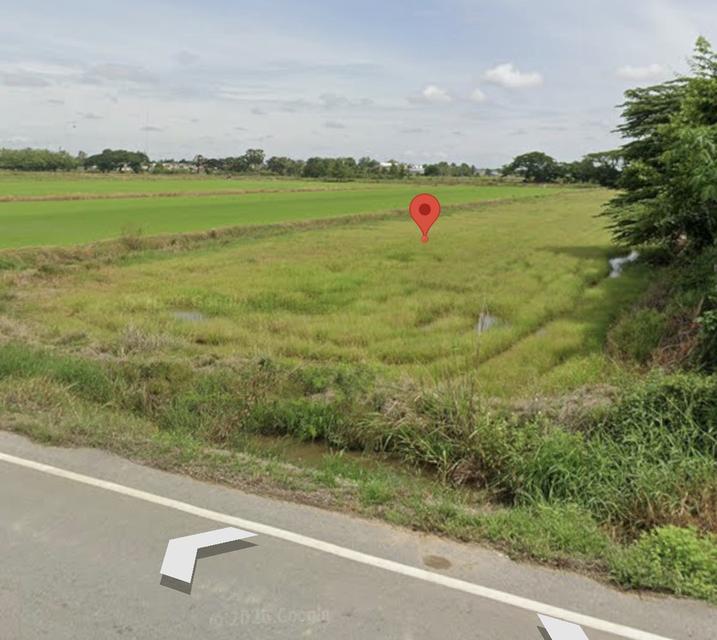 ขายที่ดิน หลังมหาวิทยาลัยราชภัฏพิบูลสงคราม ประตู 3 จังหวัดพิษณุโลก 1