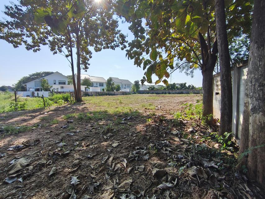 ที่ดินเปล่า แม่เหียะ เชียงใหม่ 2