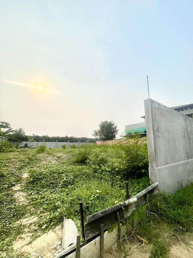 ขายที่ดิน 140 ตรว พุทธมณฑลสาย2  ใกล้พรานกตัดใหม่-สาย4 3