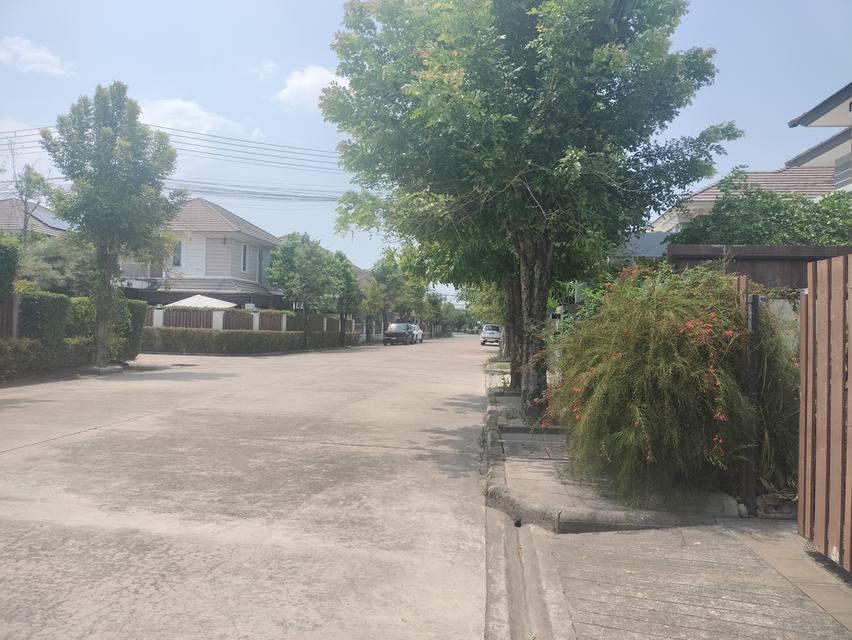 📌ขายด่วน..บ้านเดี่ยว ทำเลทอง‼️ ย้ายไปตจว.บ้านทำเลทอง น้ำไม่ท่วม..เจ้าของขายเอง 2