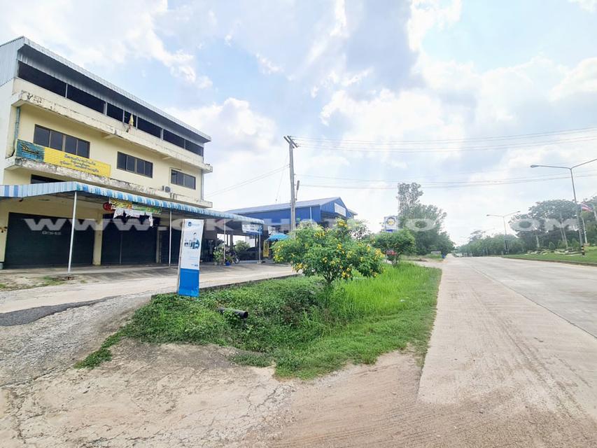 ที่ดินติดถนน ถ.เฉลิมพระเกียรติ ร.9 อ.หนองใหญ่ จ.ชลบุรี 6