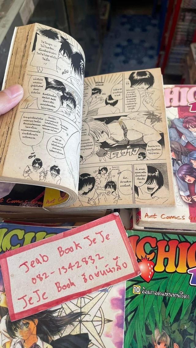 หนังสือการ์ตูน ICHICO 100% 1-19 จบ