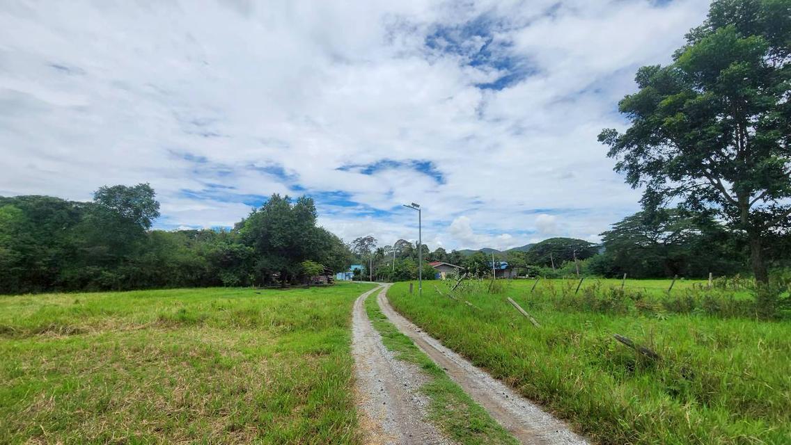 ที่ดินติดริมน้ำวิวเขาปากช่อง.( 3-3-12 ไร่.)( 5,500 บ./ตร.วา )  | ( น.ส.3ก ) หายาก ราคาพิเศษ!!  16