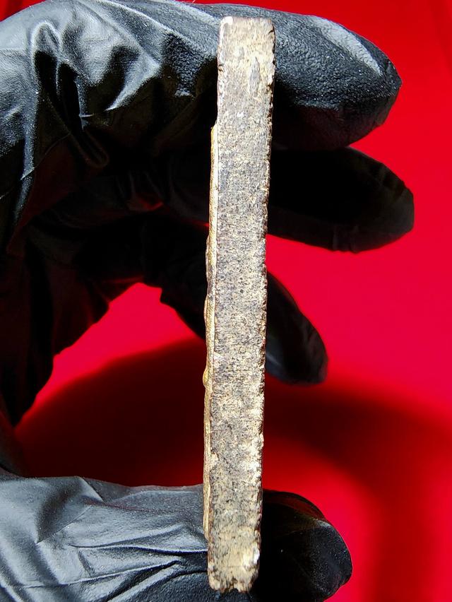 พระสมเด็จปรกโพธิ์ 9 ใบ หลังพระแม่ธรณ ผงตะไบทอง หลวงพ่อกวย รูปที่ 4