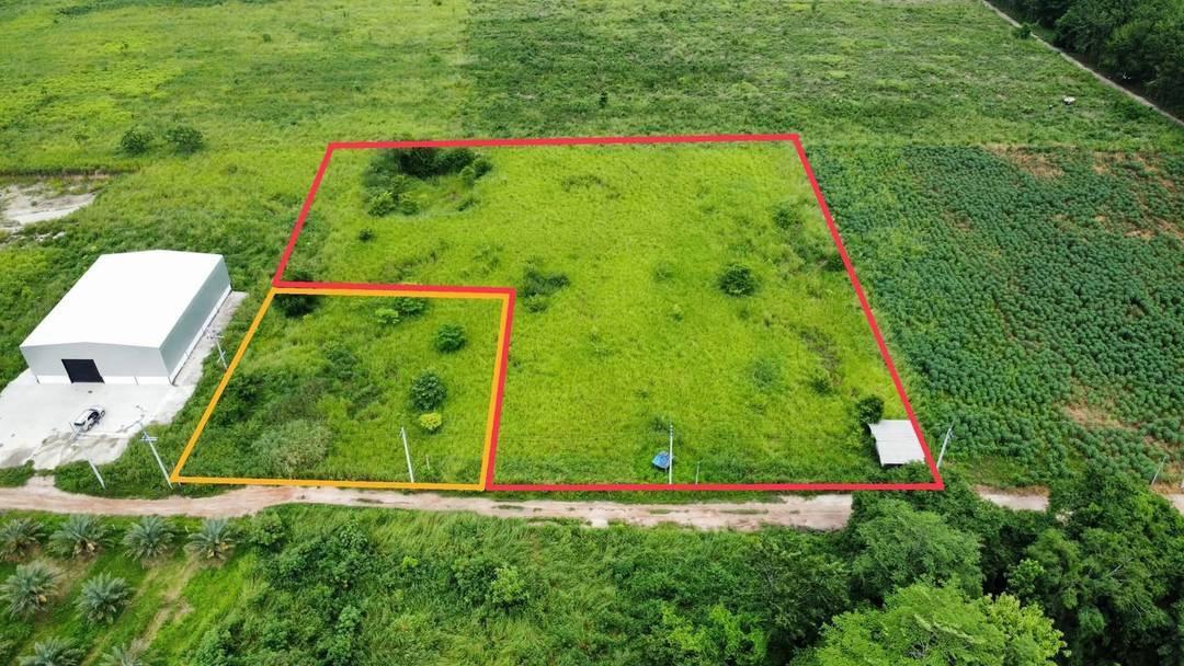 โรงงาน โกดังสินค้า อสังหา 1