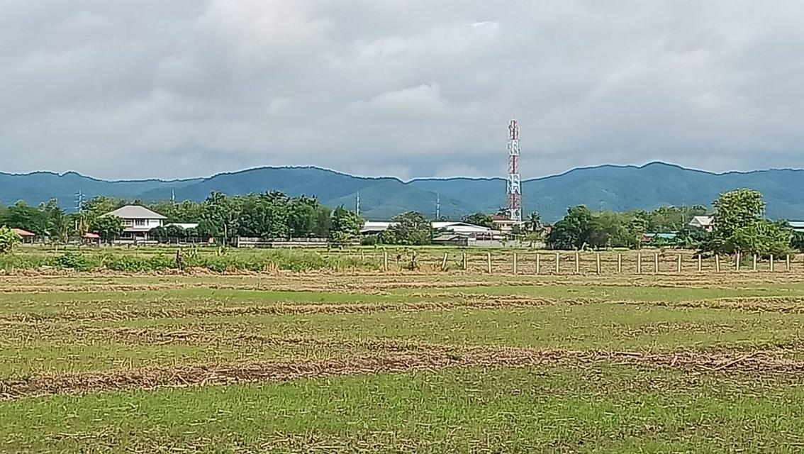 ขายที่ดินว่างเปล่า(ที่นาเกษตรกรรม) เนื้อที่ 12 ไร่   ตำบลดอนมูล อำเภอสูงเม่น จังหวัดแพร่ ติดถนน 3 ด้าน 6