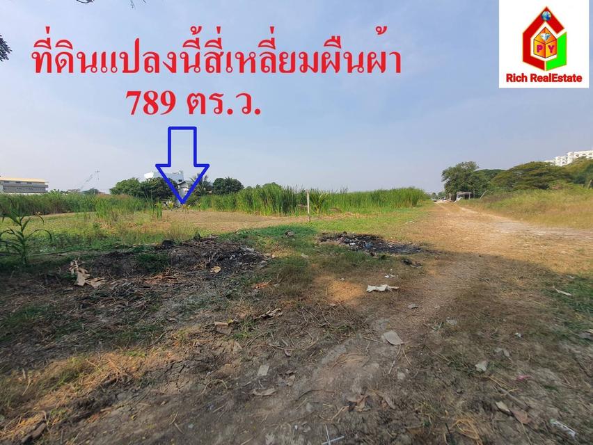 ขายถูกที่ดินสี่เหลี่ยมผืนผ้า เฉลิมพระเกียรติ ร.9 ซอย 28 แยก 18 จากถนนใหญ่เพียง 650 เมตร เนื้อที่ 789 ตรว. ทำเลดี เข้าออกถนนได้ 2 ทาง ใกล้สวนหลวง ร.9 2