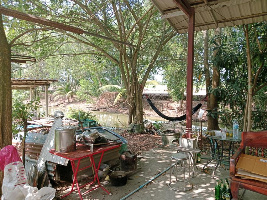 ขายบ้านสวน2ไร่ คลองหก คลองหลวง ปทุมธานี เส้นเดียวกับ ม.ราชมงคลคลองหก 10
