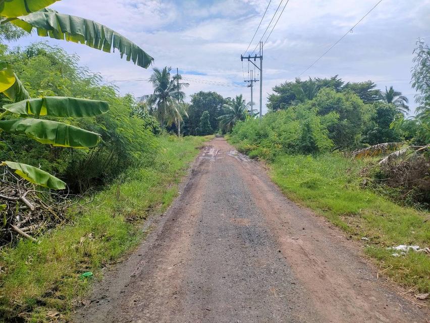 ขายที่ดินเปล่าในถนนร่วมพัฒนา เขตหนองจอก กรุงเทพมหานคร 12